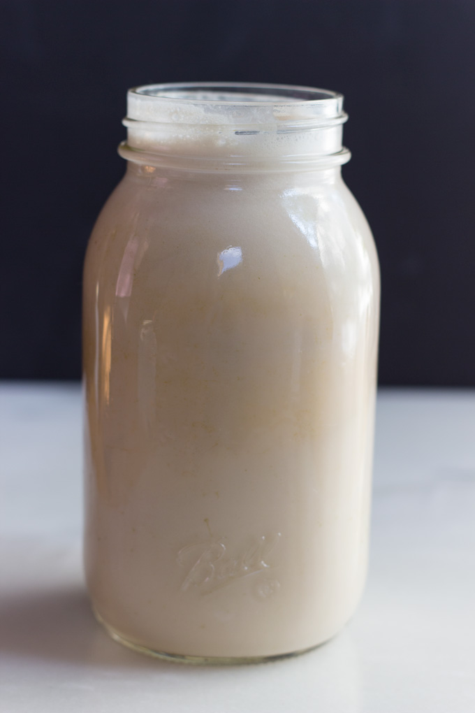Easy 4 Step Nut or Seed Milk + How to Use Leftover Pulp